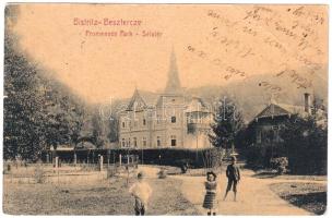 1907 Beszterce, Bistritz, Bistrita; Sétatér / Promenade Park (EB)