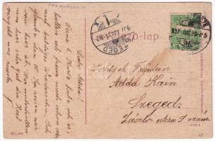 1907 Beszterce, Bistritz, Bistrita; Sétatér / Promenade Park (EB)