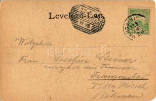 1900 Vajdahunyad, Hunedoara; Vajda-Hunyad vára / castle (EM)