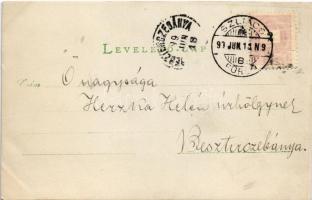 1899 (Vorläufer) Szliács, Sliac; fürdő, üvegház, Pest szálloda, zenepavilon, Istenhozott villa, kápo...