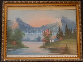 Jelzés nélküli olaj-karton zsánerkép keretben (36 x 28cm)