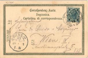 1903 Volosko, Volosca (Abbazia, Opatija); Kuenstlerpostkarten No. 1138. von Ottmar Zieher Kunstansta...