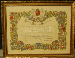 1918 Székely Hadosztály Díszokmánya üvegezett keretben, az üveg bal oldalon megrepedt (38 x 48cm)