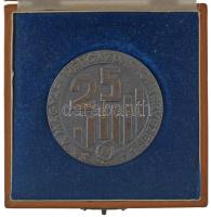 1972. 25 éves a Magyar Népgazdasági tervezés / 1947-1972 ezüstözött bronz plakett dísztokban (60mm) T:XF kopott ezüstözés