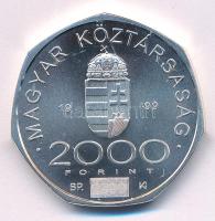 1999. 2000Ft Ag "A 2000. évforduló" kapszulában T:BU apró patina Adamo EM163