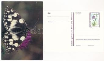 7 db modern képeslap: sakk mintájú lepkék és virágok / 7 modern postcards: flowers and butterflies w...