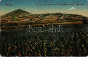 1917 Versec, Vrsac; Várhegy és szőlők. Gábor Lajos kiadása / Schlossberg und Weingärten / castle hill and vineyards (EK)