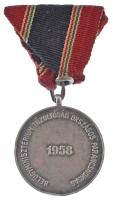 1958. "X Éves Önkéntes Tűzoltói Szolgálatért" ezüstpatinázott kitüntetés mellszalagon T:XF...