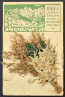 1913 Újtátrafüred, Neu-Schmecks, Novy Smokovec (Magas-Tátra, Vysoké Tatry); Szlatvini Anna gyógyvíz legyen a mindennapi italunk! Valódi szárított havasi gyopár virággal / mineral water advertisement + real dried edelweiss flower s: T.S. (Rb)