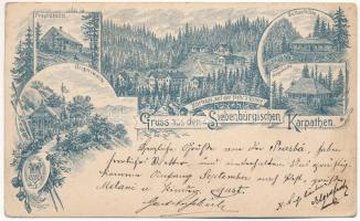 1896 (Vorläufer) Szebenjuharos, Hohe Rinne, Paltinis; Grüss aus den Siebenbürgischen Karpaten! Presbahütte, Grigoriwarte, Kurhaus auf der Hohen-Rinne, Negoihütte, Bulleahütte. Siebenbürgischer Karpaten-Verein, Dibbern & Sperling / Üdvözlet az Erdélyi Kárpátokból... gyógyház, vendégházak. Az Erdélyi (Szász) Kárpát Egyesület kiadása / spa, guest houses, floral Art Nouveau (Rb)