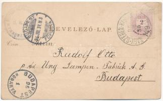 1896 (Vorläufer) Szebenjuharos, Hohe Rinne, Paltinis; Grüss aus den Siebenbürgischen Karpaten! Presb...