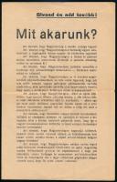 cca 1916-1918 "Mit akarunk? Olvasd és add tovább!", a Keresztény Szocialista Szabadszervezetek Országos Központja röplapja, antiszemita tartalommal, 2 sztl. lev.