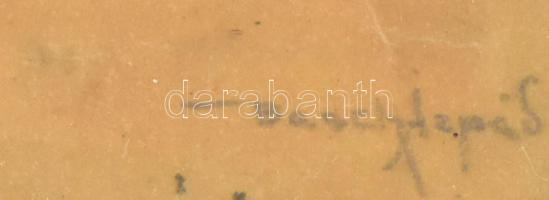 Basch Árpád (1873-1944): Reneszánsz ifjú. Vegyes technika, papír (hullámos), jelzett, üvegezett fake...