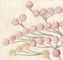 XVIII sz. vége - XIX. sz. eleje: Jakobinus-fa a Martinovics-mozgalom elítéltjeiről. Akvarell-tus, je...