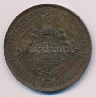 1876. "A 1876 évi Országos Ipar-termény- és Állat-kiállítás Szegeden / Érdem Érem" kétoldalas bronz díjérem (50mm) T:XF ph, patina