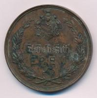 1876. "A 1876 évi Országos Ipar-termény- és Állat-kiállítás Szegeden / Érdem Érem" kétolda...