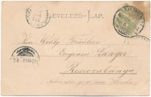 1903 Karánsebes, Caransebes; József tér, Magyar királyi Dohány Nagy tőzsde, Özv. Halle Mórné üzlet /...