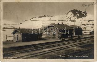 1913 Finse, Bergensbanen / railway station (EB)