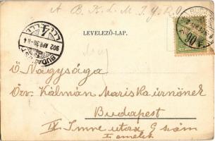 1902 Talány / riddle (fa)