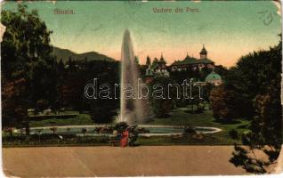 1909 Sinaia, Vedere din Parc / park (b)