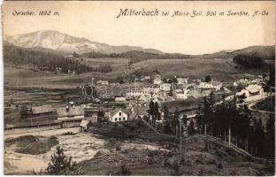 Mitterbach am Erlaufsee, general view