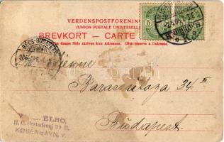 1905 Copenhagen, Kobenhavn; Vor Frelsers Kirke / church (b)