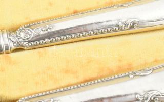 Ezüst (Ag) nyelű antik francia hús szervírozó és salátás készlet, jelzéssel, kissé sérült díszdobozb...