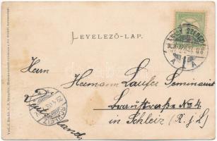 1903 Nagyszeben, Hermannstadt, Sibiu; Heltauergasse / Disznódi utca, Julius Wermescher üzlete, Trans...