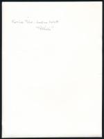 Korniss Péter (1937- ): Modern balett - "Pókháló", fotó, a hátoldalon feliratozva, 23x17 c...