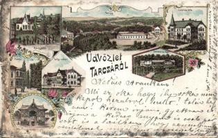 1899 Tarcsa Litho (small tear)