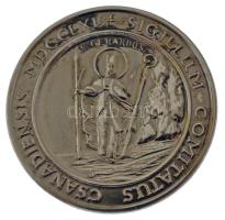 DN "Sigillum Comitatis Csanadiensis MDCCLXI" Csanád Vármegye 1761-es pecsétjét ábrázoló modern fém jelvény (23mm) T:UNC