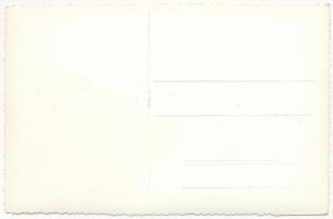 Nagybánya, Baia Mare; István király szálloda, Kárpát filmszínház, mozi, Suba János üzlete, katonák t...