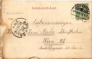 1904 Kisdisznód, Michelsberg, Cisnadioara; Halberstein, Gemeinde Virtshaus. Karl Graef / Vendéglő / ...