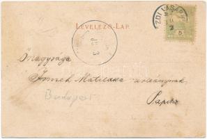 Kézdivásárhely, Targu Secuiesc; Polgári fiú iskola, leány árvaház / boy school, girl orphanage. Art ...