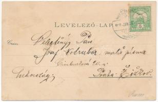 1908 Nagyszentmiklós, Sannicolau Mare; Náko utca, Sörfőzde, sörgyár, városháza, Czenzinger szálloda,...