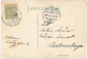 1905 Buziás, Acél fürdő. Montázs gólyákkal és kis babákkal, Francz Testvérek kiadása / spa. Montage ...