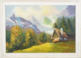 Artonyi jelzéssel: Alpesi táj. Olaj, vászon, jelzett. fa keretben, 48x65 cm