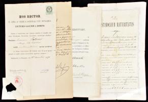 1877-1885 Bp., Patzner Lajos későbbi temesvári főszámvevő bizonyítványai, 3 db + 1 db joggyakorlati igazolás. Vegyes állapotban, okmánybélyegekkel.