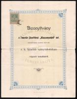 1903 Bizonyítvány a Temesvár-józsefvárosi &quot;Miasszonyunkról&quot; nev. felsőbb leányiskolában végzett tanulásról, 30f okmánybélyeggel. Temesvár, &quot;Pátria&quot;-ny., 2 sztl. lev. Hajtásnyomokkal, kis szakadással.