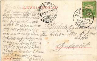 1908 Zsombolya, Hatzfeld, Jimbolia; Deák Ferenc utca. W.L. 425. / street (fl)