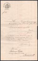 1892 Temesvár, Temes vármegye és Temesvár szab. kir. város főispánja által kiállított főszámvevői kinevezés Patzner Lajos részére, Molnár Viktor (1853-1919) főispán autográf aláírásával, fejléces levélpapíron, sérült viaszpecséttel