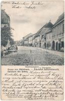 1905 Szászsebes, Mühlbach, Sebesul Sasesc, Sebes; Siculorumgasse und Petrigasse / utcakép, üzletek. Josef Hientz kiadása / street, shops (EB)