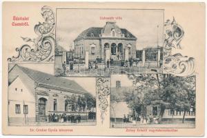 1910 Csene, Tschene, Cenej, Cenei; Uzbasich Gáspár főszolgabíró villája, Dr. Gruber Gyula körorvos háza, Zobay Kristóf vegyeskereskedés üzlete / judges villa, doctors house, shop. Art Nouveau, floral (EK)