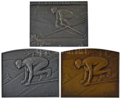 Berán Lajos (1883-1943) 1936-1942. "Magyar Sí Szövetség" (2xklf) bronz és Al sí díjplakett, hátoldalukon gravírozással, az egyiken "LUDVIG" gyártói jelzéssel (61x70mm) + Sződy Szilárd (1878-1939) 1926. (1942.) "Magyar Sí Klub" Al sí díjplakett, hátoldalán "Kékes Kupa 1942. XI" gravírozással (57x70mm) T:XF