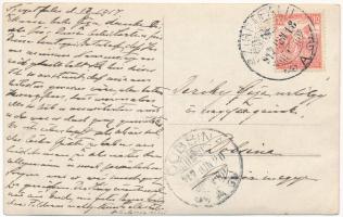 1917 Szigetfalu, Szkulya, Skulya, Sculia; Klobusitzky János kastélya / villa castle. photo (EB)