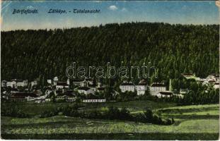 Bártfa, Bártfafürdő, Bardejovské Kúpele, Bardiov, Bardejov; Látkép. Kiadja Neumann Viktor / Totalansicht / general view (EK)