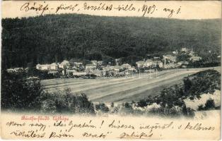 1905 Bártfa, Bártfafürdő, Bardejovské Kúpele, Bardiov, Bardejov; Látkép / Totalansicht / general view (EK)