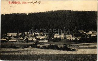 1908 Bártfa, Bártfafürdő, Bardejovské Kúpele, Bardiov, Bardejov; Látkép. Eschwig és Hajts kiadása, Hajts Kornél felvétele / Totalansicht / general view