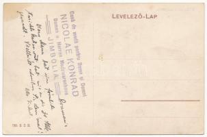 1924 Temesvár, Timisoara; Viitorul Timisorei / a jövőben montázs / in the future montage. TCV card (...