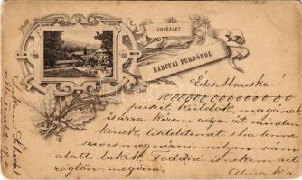 1906 Bártfa, Bártfafürdő, Bardejovské Kúpele, Bardiov, Bardejov; Art Nouveau, floral. Kiadja Stenhura V. (fa)